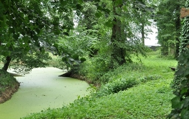 Wartkowice 5